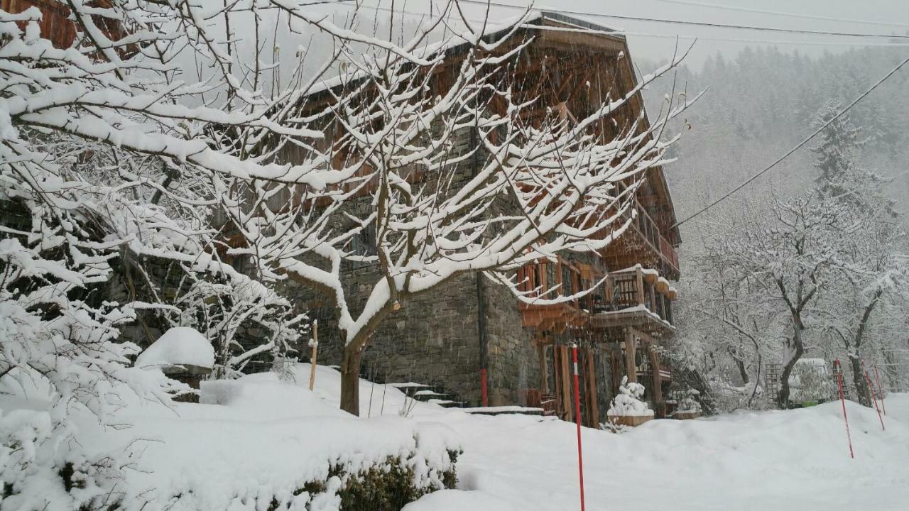 Chalet Zenarcs 圣莫里斯堡 外观 照片